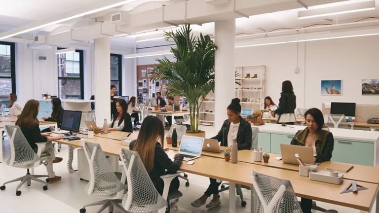 Startups & Entrepreneurs